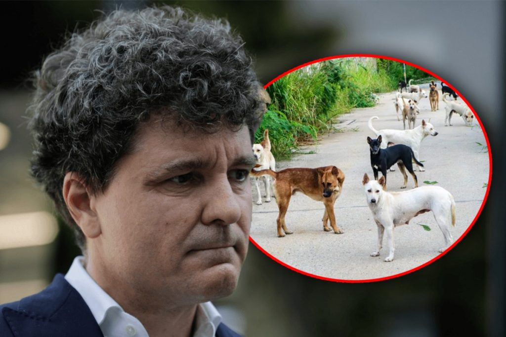 Nicușor Dan, reacție întârziată după decesul alergătoarei de la Lacul Morii. „Este o responsabilitate comună”