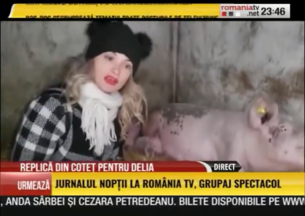 Romania TV, amendata de CNA dupa ce o invitata s-a pozat cu scroafa in cotet pentru a o ataca pe Delia