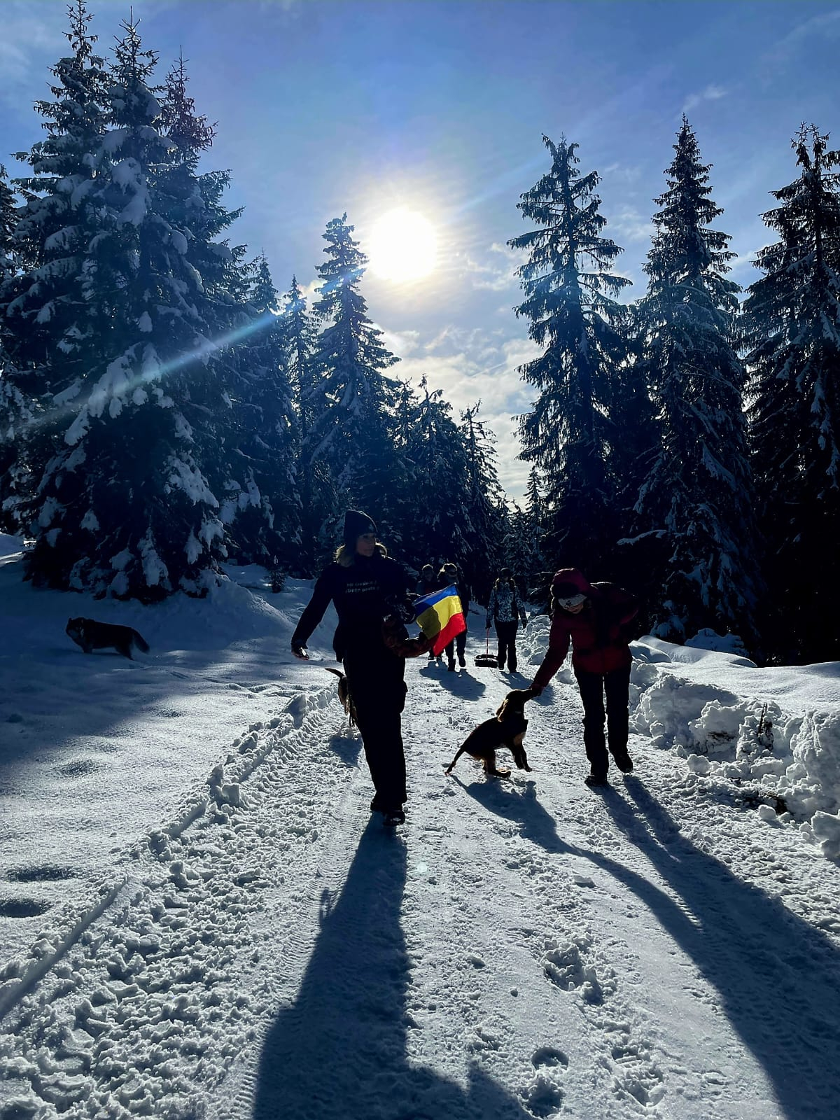 Galerie foto - Poza #2