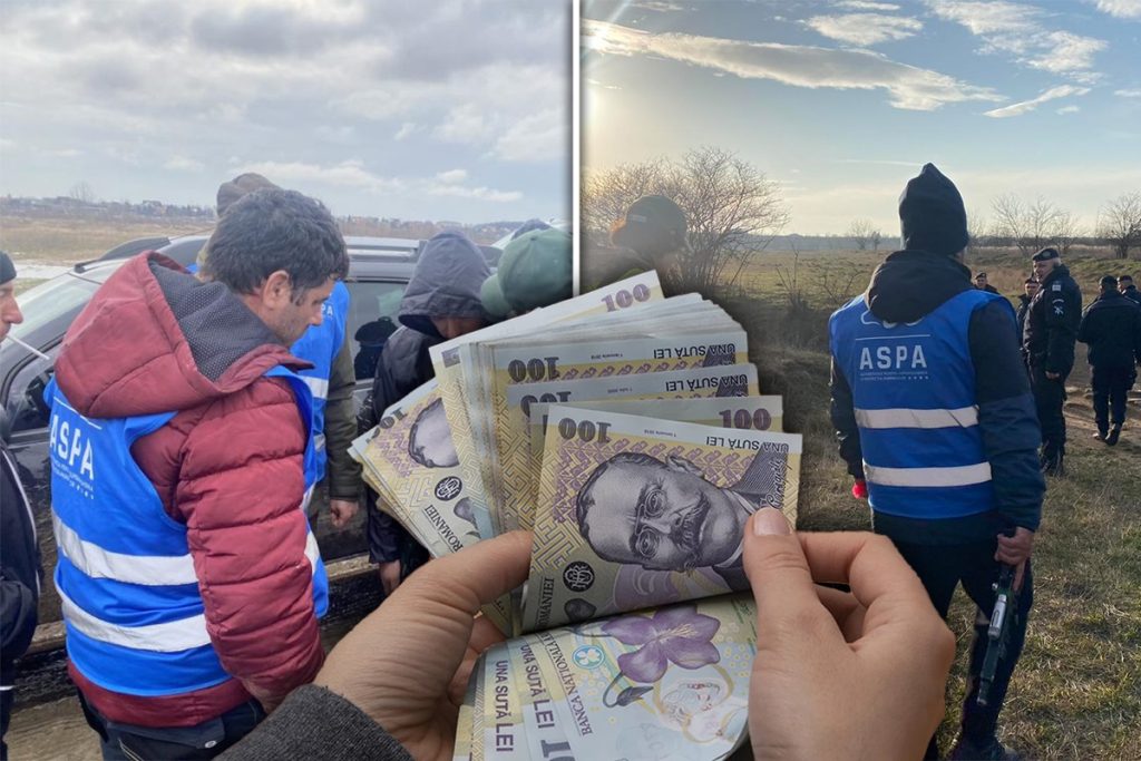 Veniturile colosale încasate de angajații ASPA. Ce salariu are șeful instituției care ar fi trebuit să prevină tragedia femeii ucise de maidanezi