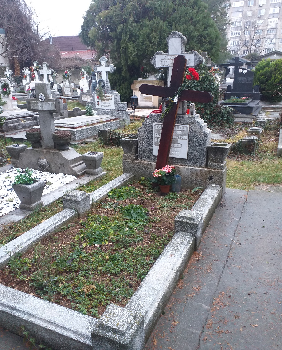 Cum este comemorată Cristina Țopescu. Crucea de lemn a fost așezată, fără nume, peste crucea tatălui ei