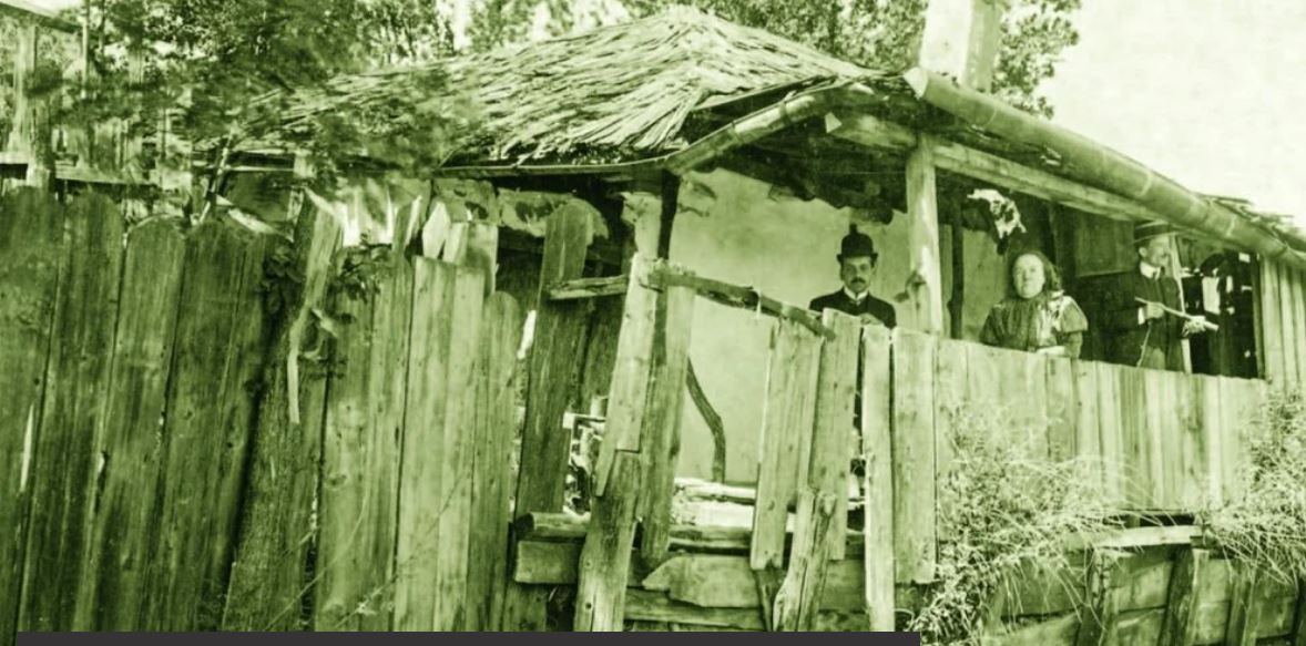 Galerie foto - Poza #1