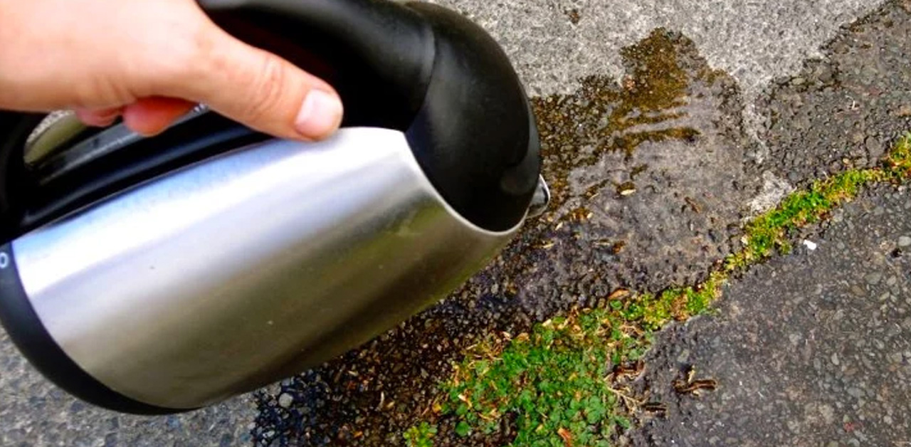 Cum elimini buruienile enervante