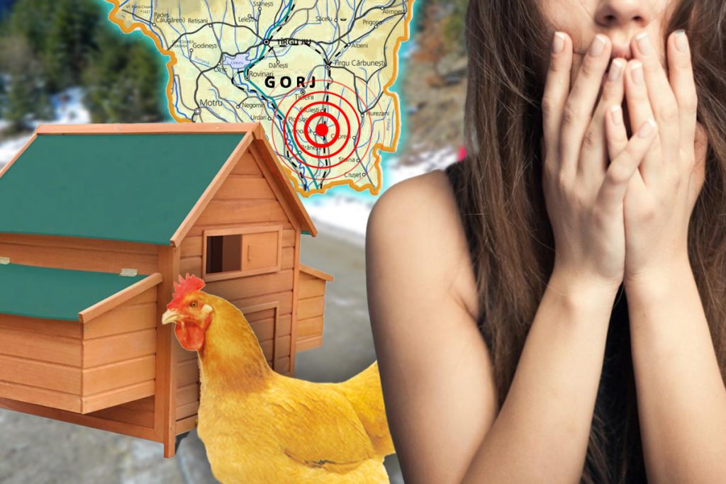 O familie din Gorj doarme în coteț de teama cutremurelor. „Am mutat puii”