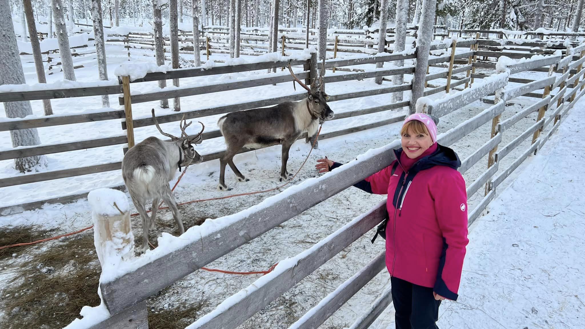 Galerie foto - Poza #2