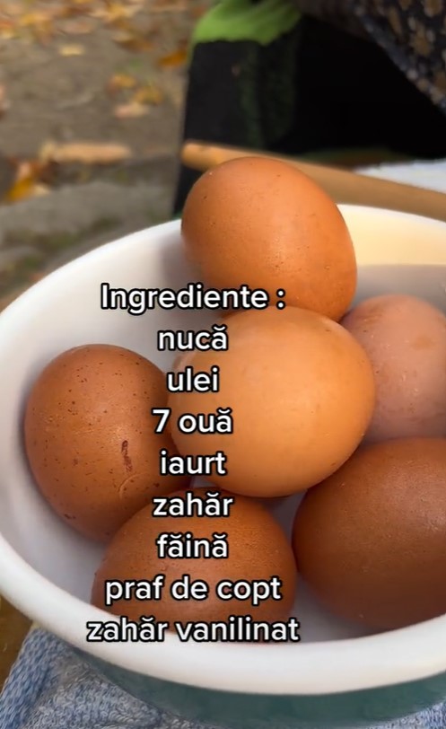 Galerie foto - Poza #2