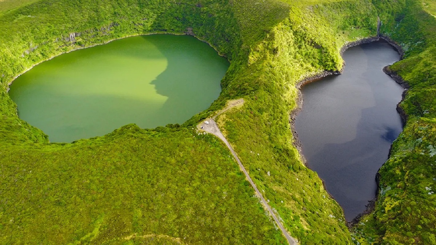 Specia “nouă” de oameni care a pus cercetătorii în dilemă se cheamă hobbit