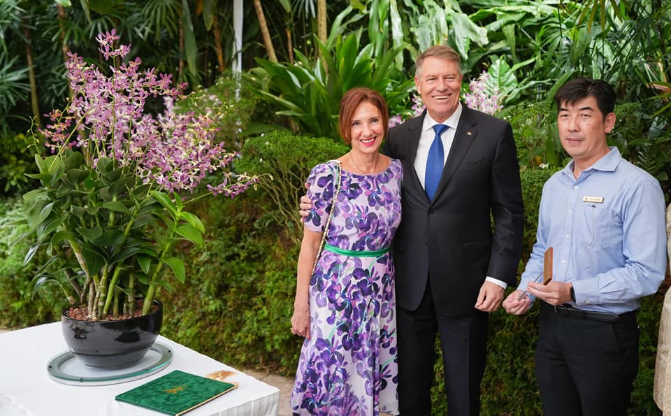 Galerie foto - Poza #3