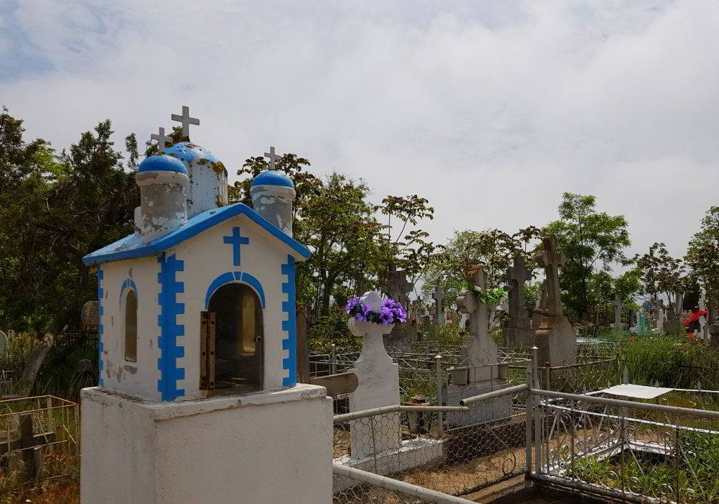 Galerie foto - Poza #1