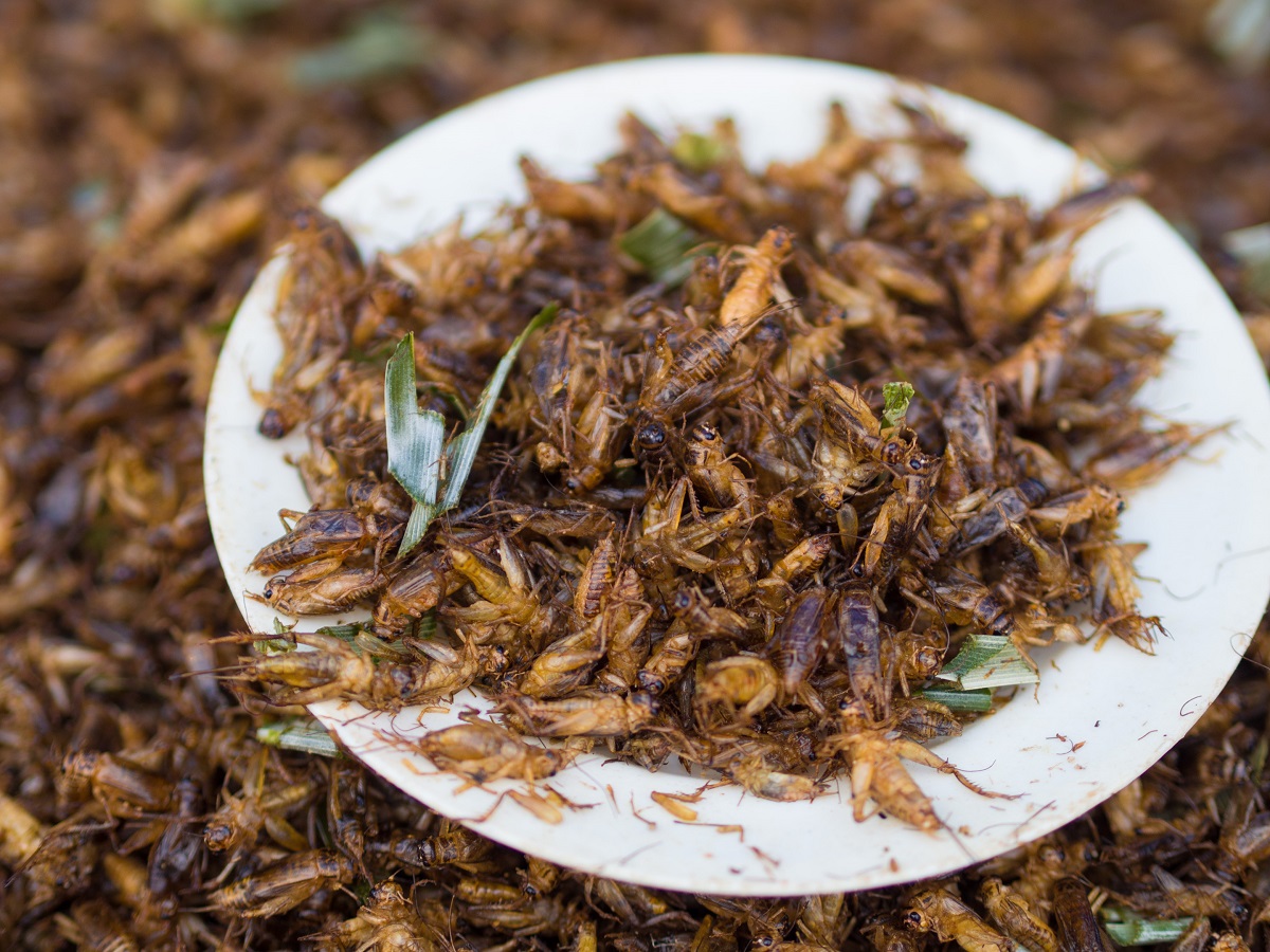 Produsele la care nu ai voie să folosești făina de insecte. Decizia a fost comunicată de de guvern