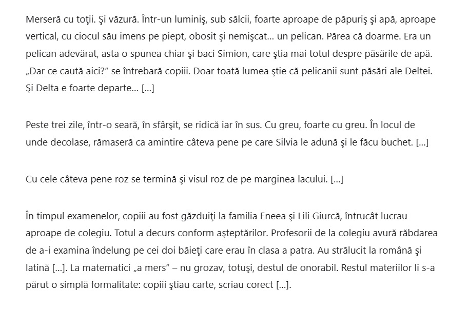 Galerie foto - Poza #2