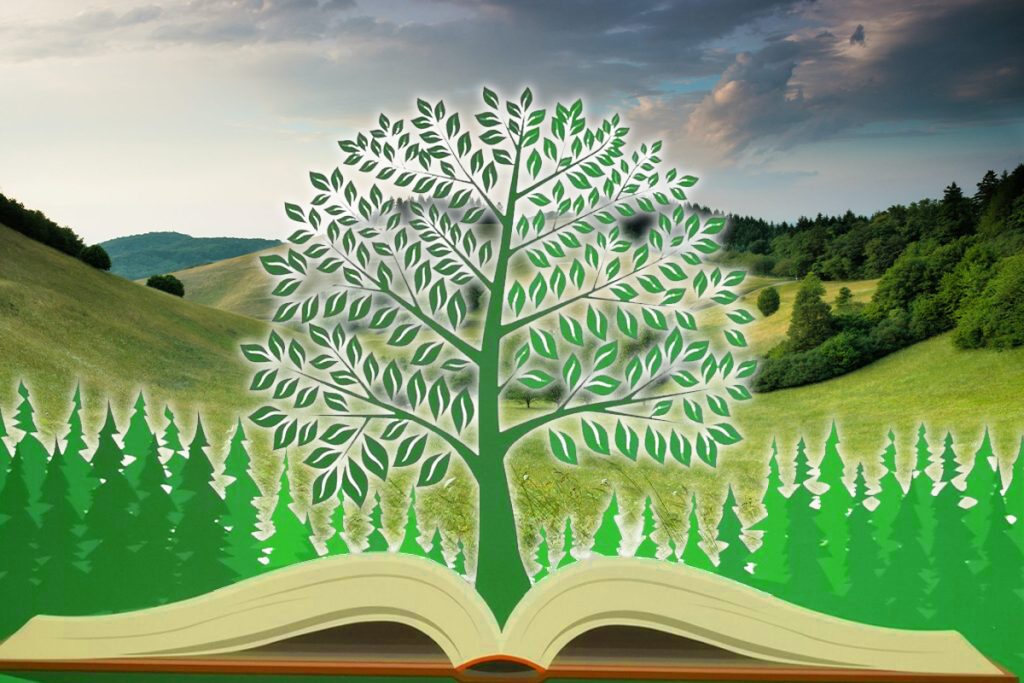Ce învață elevii în Săptămâna Verde. Activități la care participă