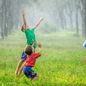 Ce învață elevii în Săptămâna Verde