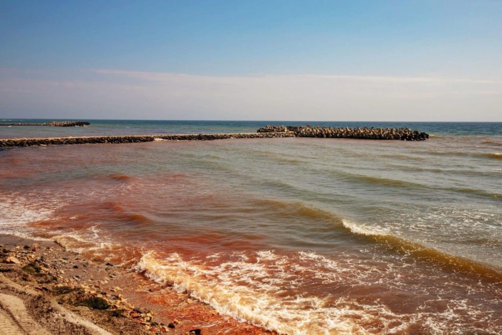 Ce spun medicii după ce Ucraina a anunțat posibila contaminare a apei cu virusul holerei? Adrian Marinescu: „Nu este eradicată, cum este difteria”