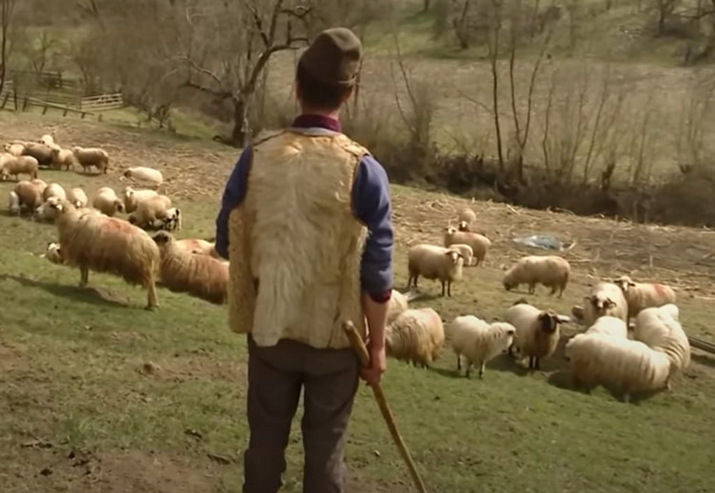 Reacția de milioane a unui român întors în țară. De ce nu mai vrea să audă de străinătate în veci