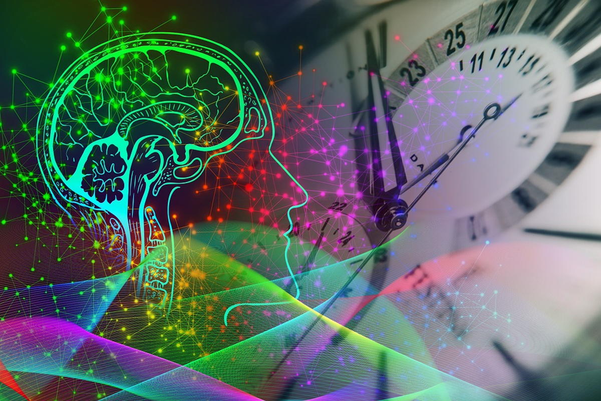 Când ajunge creierul omului la maturitate, de fapt: nu are nicio legătură cu 18 ani