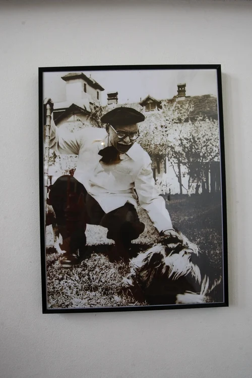 Galerie foto - Poza #2