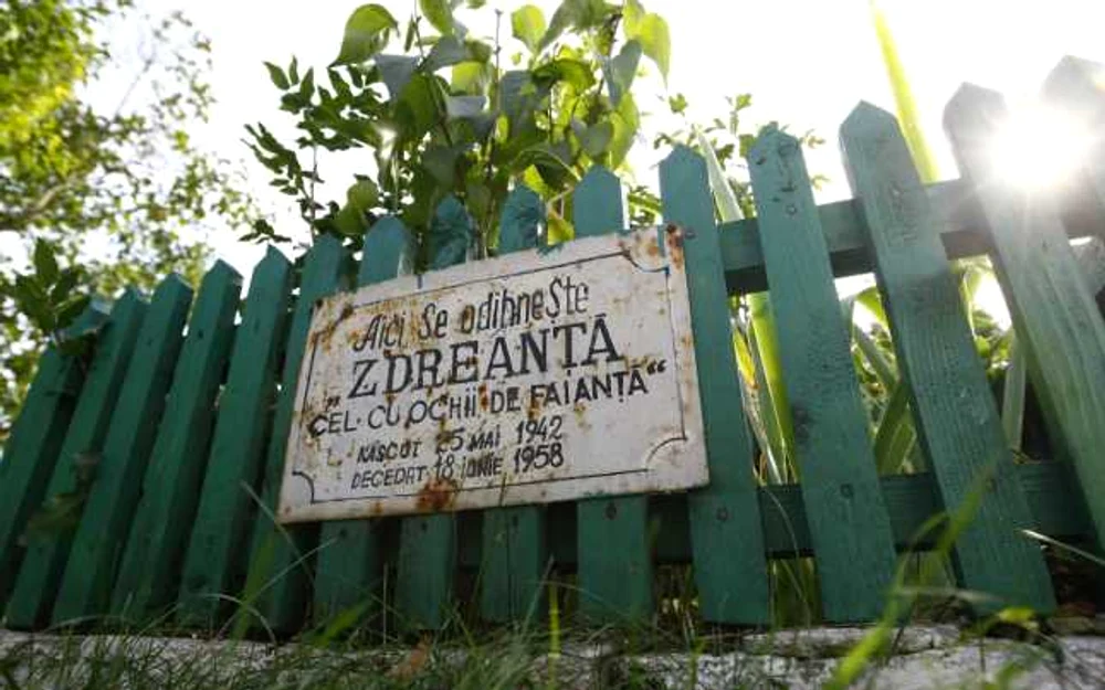 Galerie foto - Poza #3