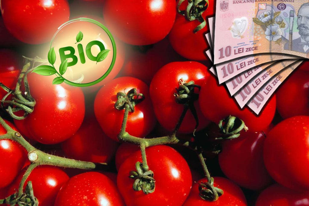 Cât costă kilogramul de roșii bio la marginea Capitalei. Românii se îngrămădesc să cumpere