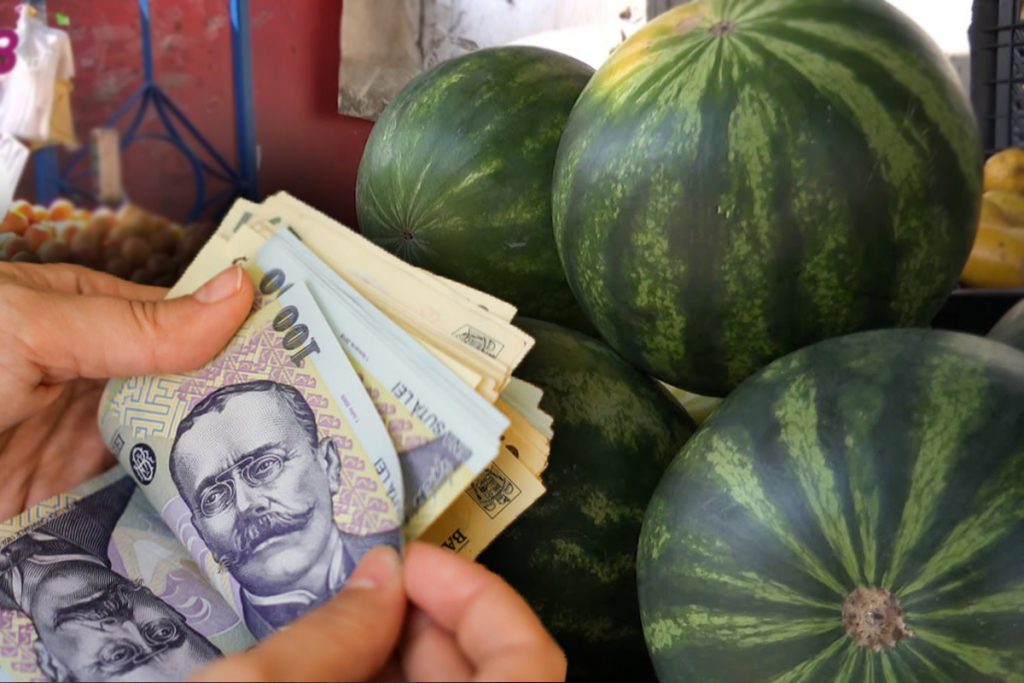 Cât costă pepenii de Dăbuleni în piață. Prețurile te vor surprinde