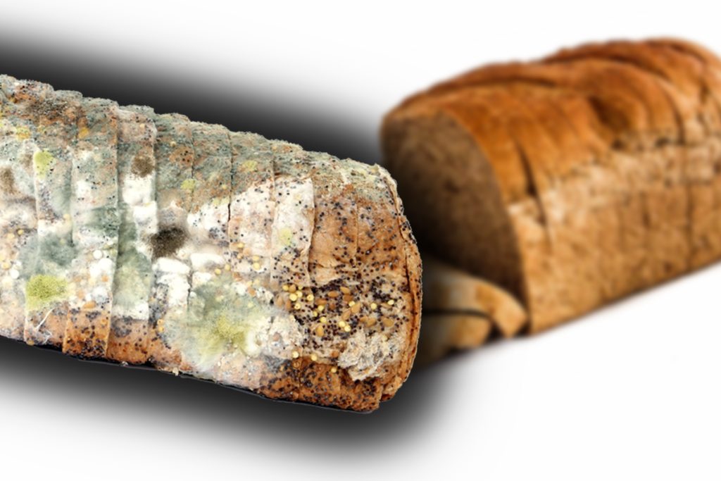 Ce trebuie să faci pentru ca pâinea să nu mucegăiască. Va fi proaspătă mai multe zile