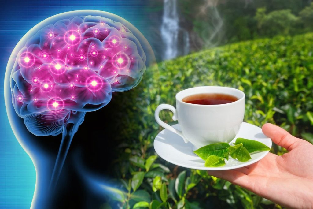 Cel mai bun ceai pentru un creier sănătos. Prof. Dr. Vlad Ciurea: „Este dovedit”