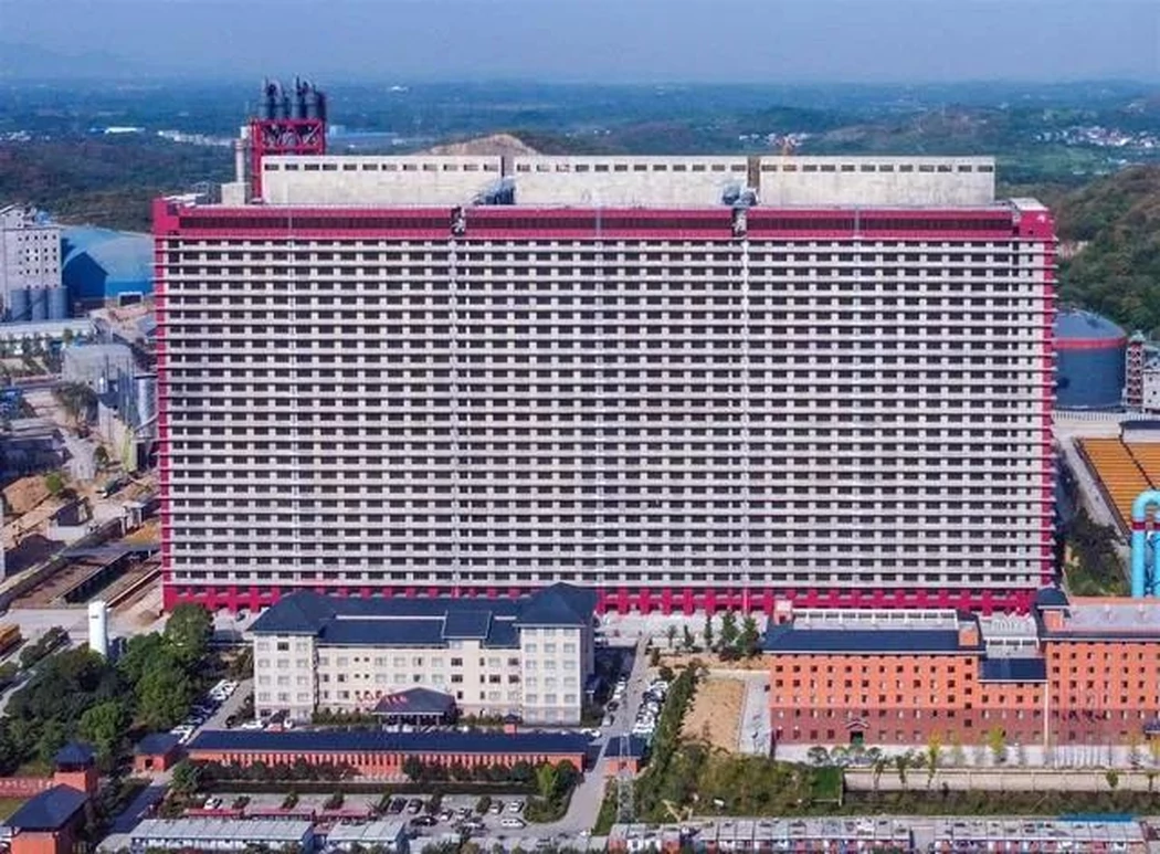 Cel mai mare hotel de porci din lume