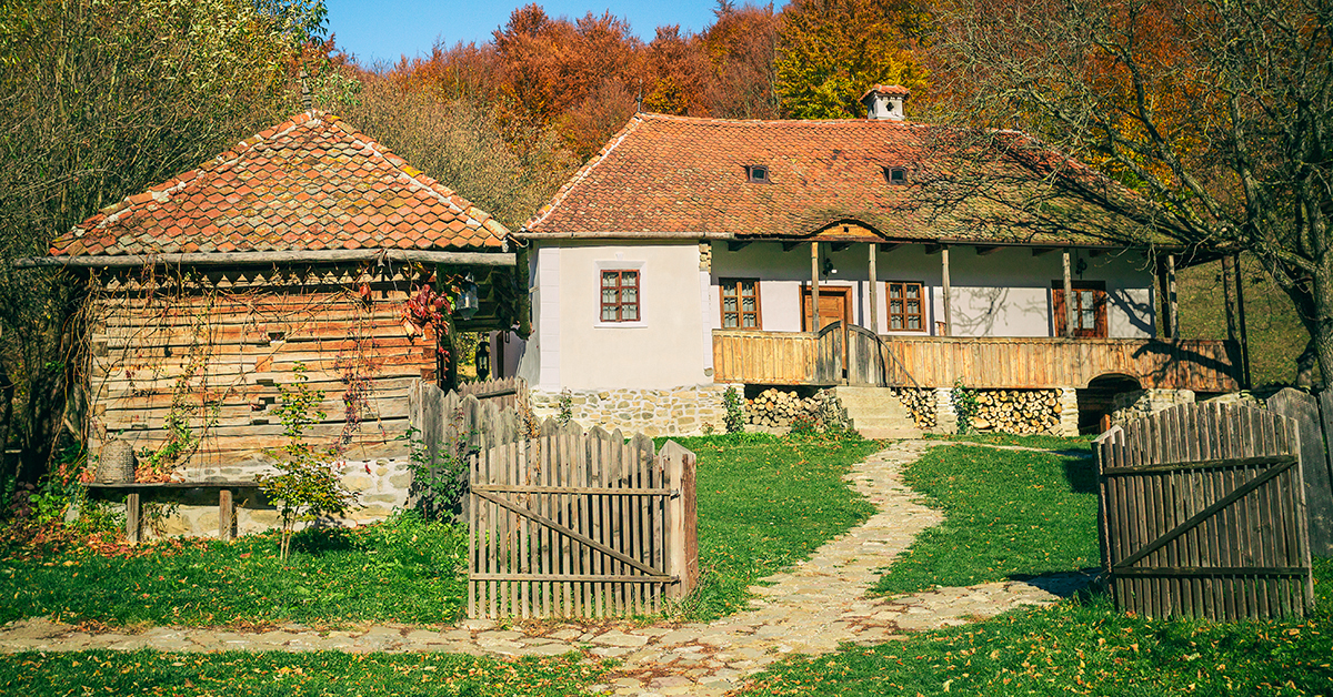 Galerie foto - Poza #1