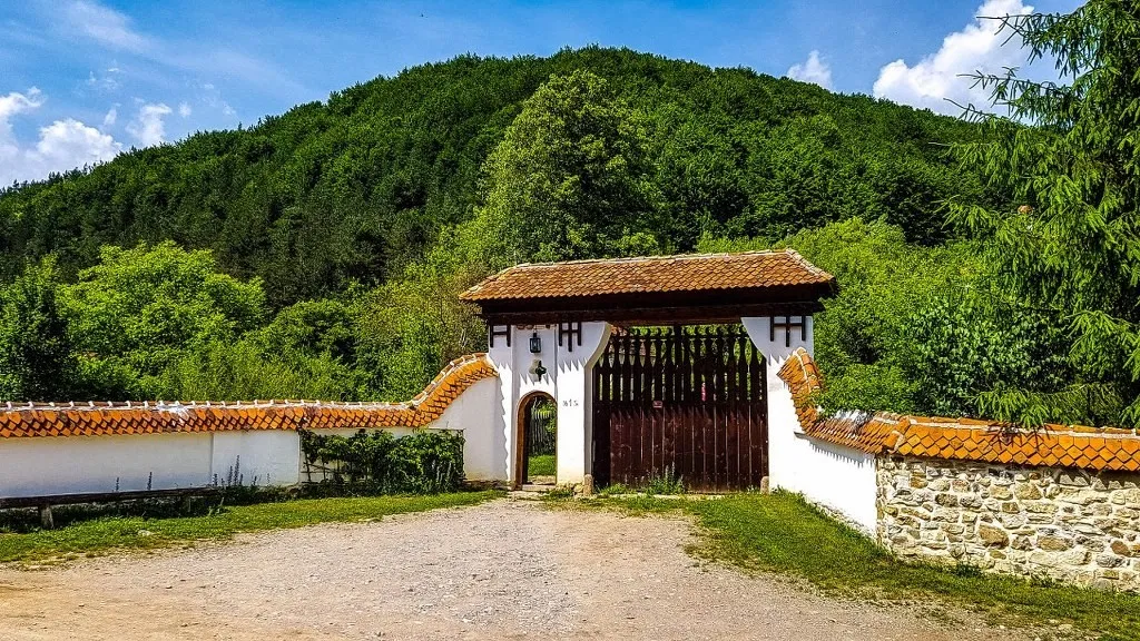 Galerie foto - Poza #2
