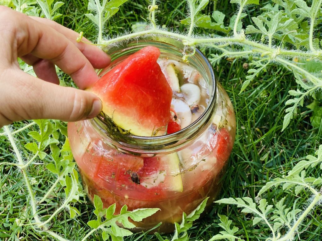 Cum să pui pepene verde la murat. Secretul ca să iasă delicios