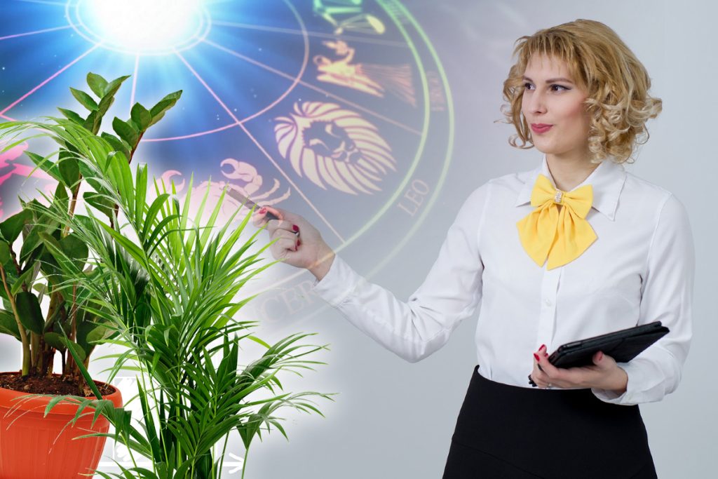 Planta magică pentru fiecare zodie din horoscop. Ce puteri ascunse au, de fapt