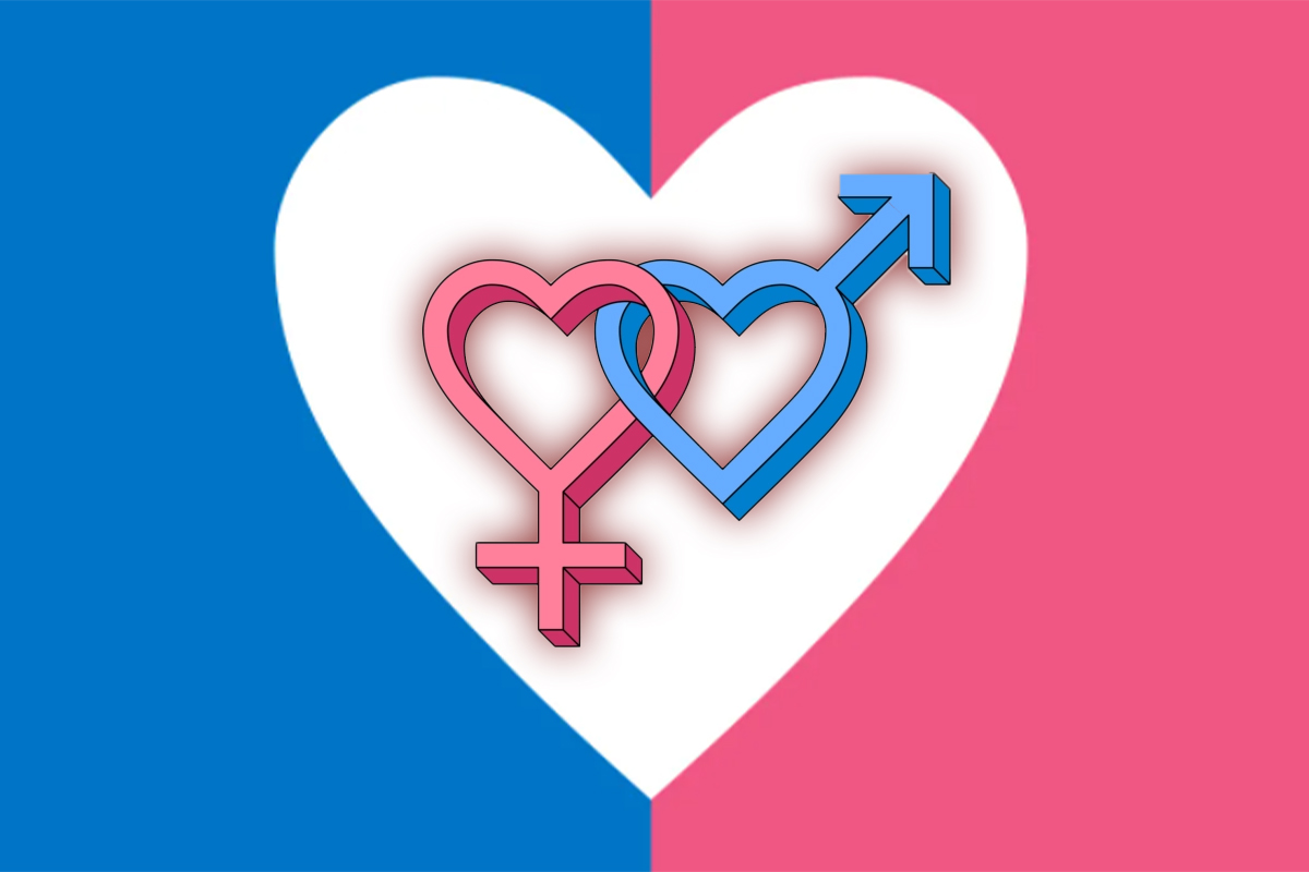 Ce inseamna hetero?