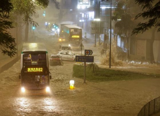 Galerie foto - Poza #1