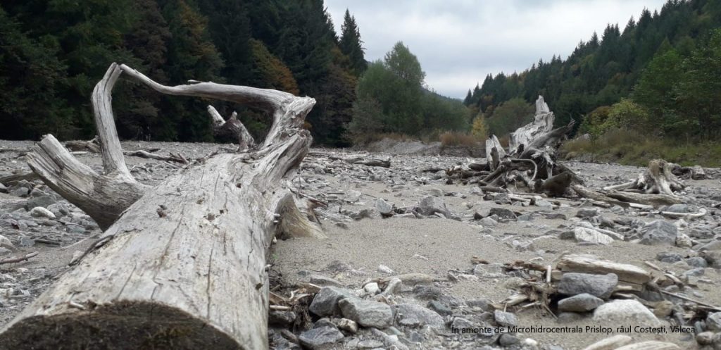 Derogarea care permite construcția unor hidrocentrale în parcurile naturale. Ecologiștii susțin că vor seca râurile