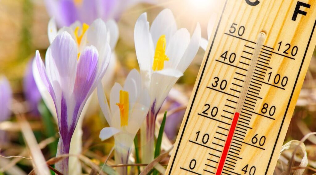 Prognoza meteo ANM: Weekend rece, dar temperaturile vor crește treptat în toată țara