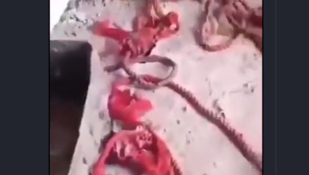 Ororile închisorii Sednaya: frânghii pentru spânzurări și presă pentru zdrobirea cadavrelor