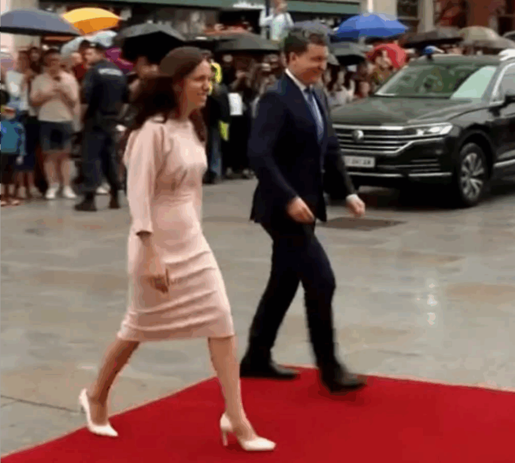 Rochie prezidenţială de 1000 de lei. Mirabela Grădinaru în vizită oficială în Austria, cu stil şi fără buget