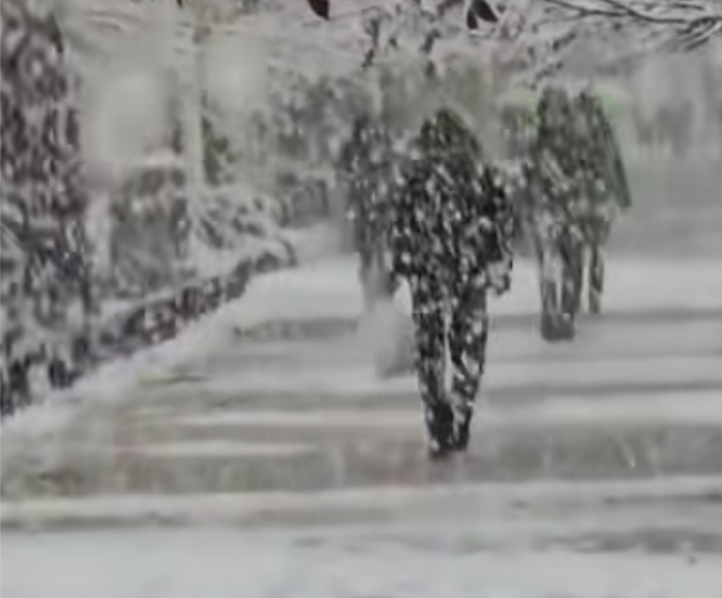 Vremea a luat-o razna: deja ninge, deși iarna e departe de a se fi încheiat