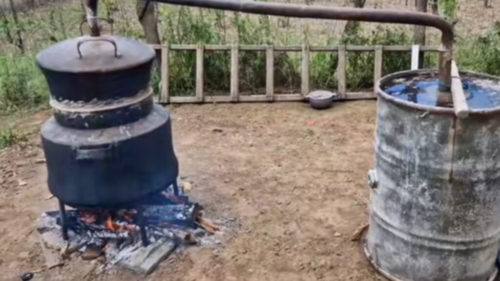 Toată lumea se plânge că motorina e 10 lei, dar că țuica e 50 de lei nu deranjează pe nimeni…