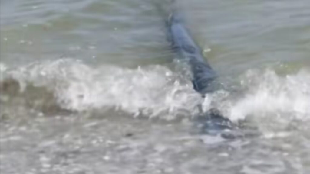 Există și o alternativă românească la Strâmtoarea Ormuz: conductele clandestine cu rahat din Marea Neagră