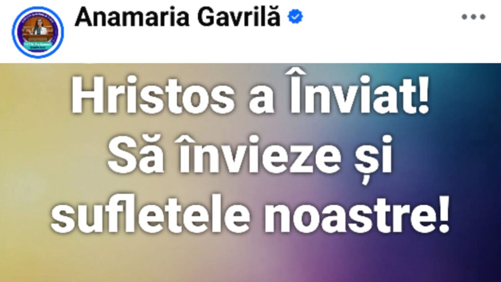 Anamaria Gavrilă, primul politician de care lumea râde și când respectă gramatica cu exces de zel intelectual