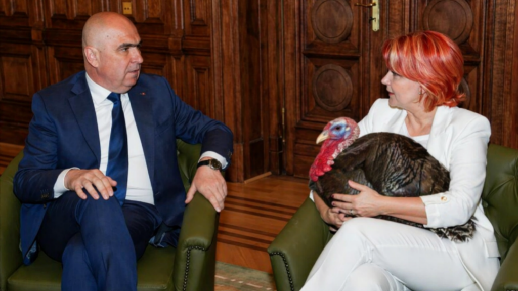 Olguța Vasilescu, șefa la cotețul de curci, vrea să se împace cu Bolojan, dar el nu vrea să pice de papagal