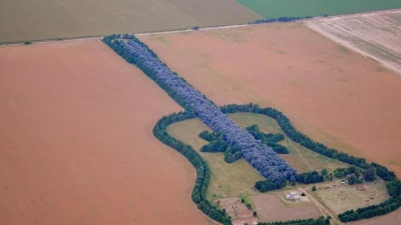 Povestea chitarei gigantice din pampasul argentinian