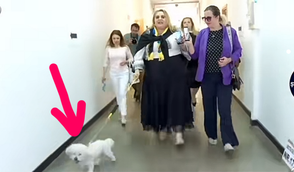 Diana Șoșoacă umblă cu bichonul în lesă ca să arate că nimeni nu e de neînlocuit, nici măcar Makaveli