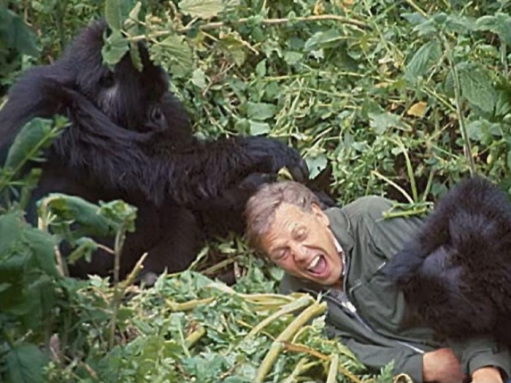 VIDEO / Cei 100 de ani ai lui David Attenborough