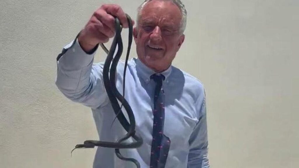 VIDEO / Robert Kennedy Jr., mușcat de doi șerpi în fața soției