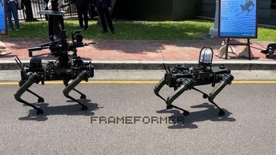 VIDEO / Taiwanezii îi pun pe fugă pe chinezi cu câini-roboți