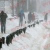 Alertă meteo în România. Vine iarna, de mâine, Inclusiv în Capitală