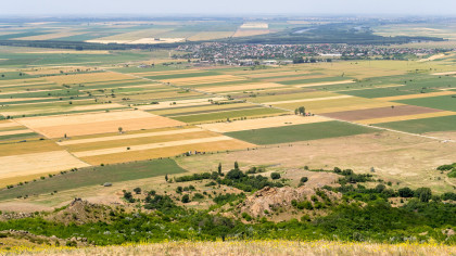 Decizie pentru proprietarii de terenuri din România. Este obligatoriu până la 31 mai