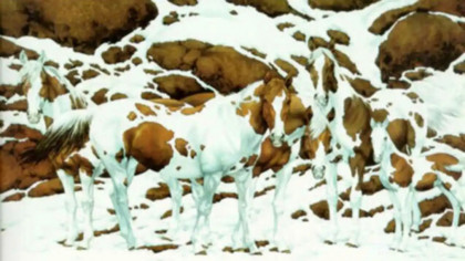 Iluzia optică de iarnă. Câți cai sunt ascunși în zăpadă? Ai IQ de geniu dacă răspunzi corect